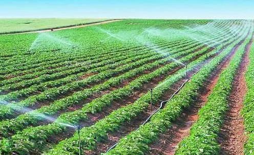 WWW·操逼农田高 效节水灌溉